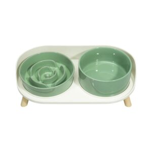 Green Elevated Slow Feeder Dog Bowls