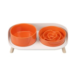 Orange Elevated Slow Feeder Dog Bowls