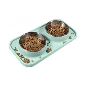 Aquamarine Non-Spill Removable Pet Dishes